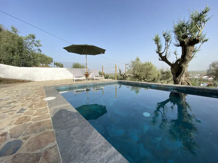 Alentejo house with pool - Image 1
