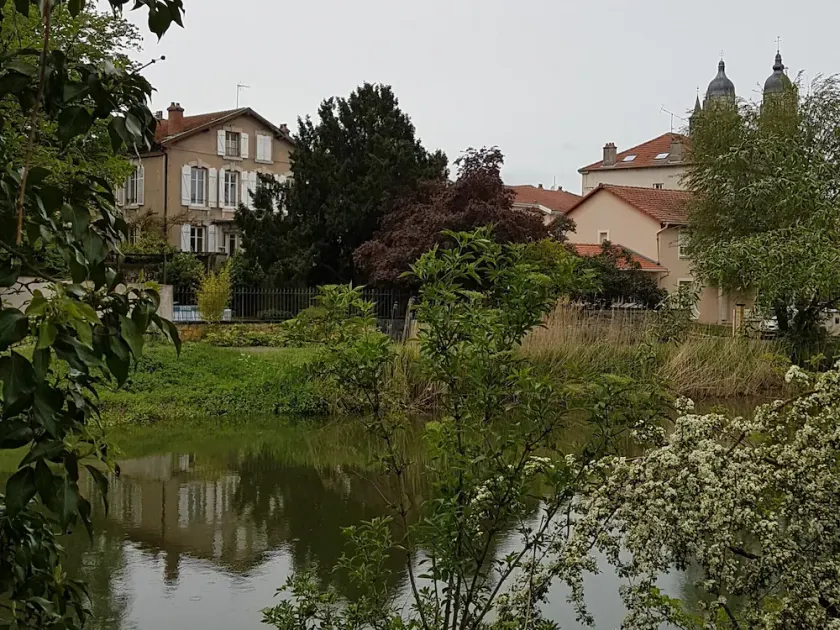 Grand appartement 6 pers., cadre calme, proche Nancy et Lunéville, toutes commodités, tout inclus - Image 1