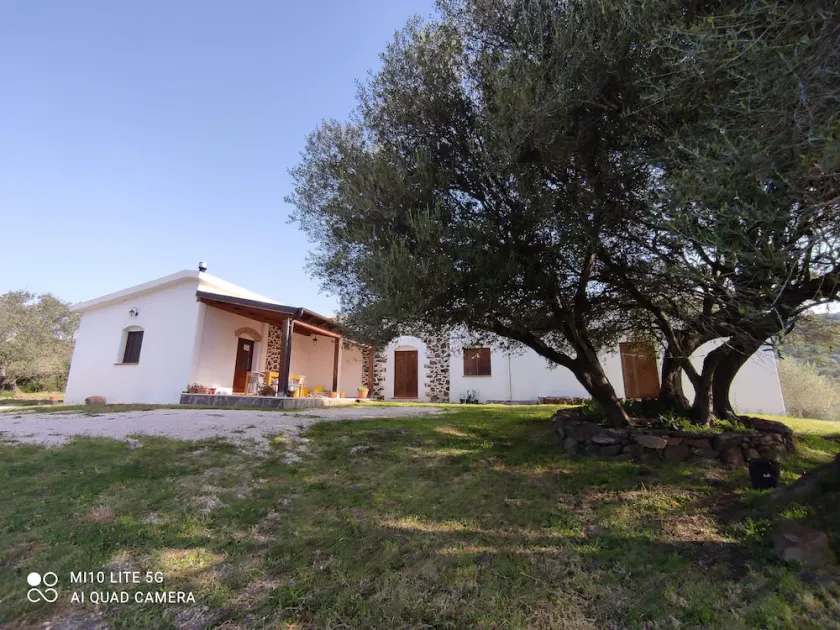 Sa Carruba - Typical rural house surrounded by greenery with panoramic views - Image 1