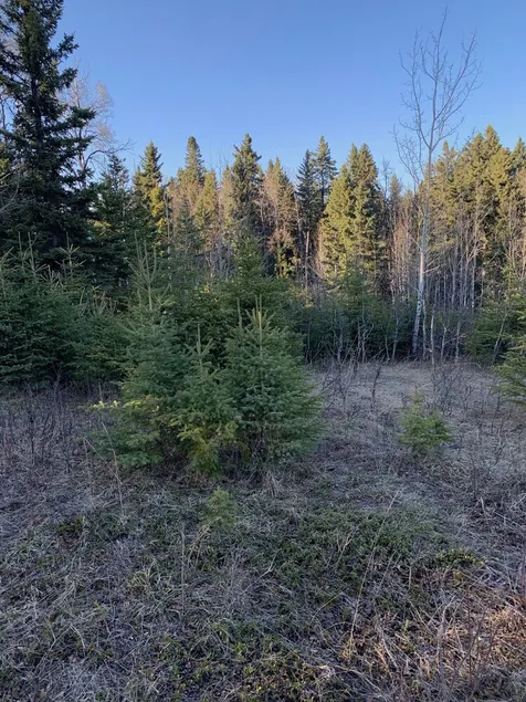 Camping sur terrain privé - Image 1