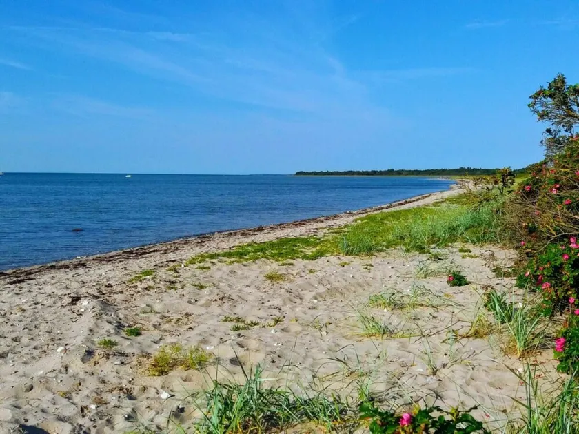 Pet Friendly Holiday Home in Bogense with Hot Tub - Image 1