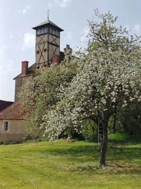Gîte à la ferme entre Loire, Vignobles et Bertranges - Image 1