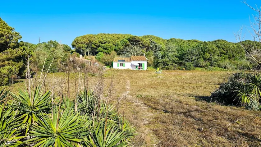 Ensemble de 2 maisons dans les dunes - Image 1