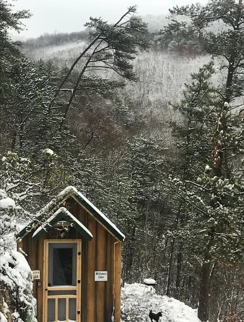   Rustic Wilderness Cabin Retreat Private Forest Getaway in East Tennessee - Image 1