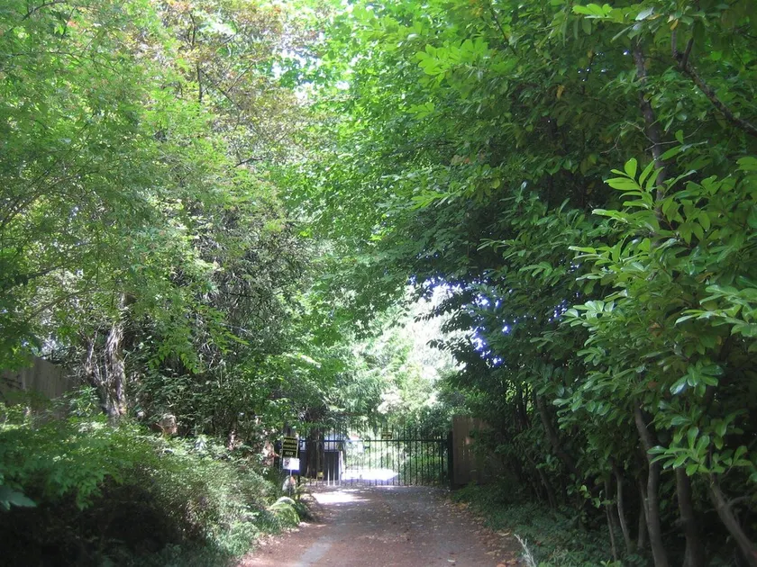 2 PERSON - 1 BEDROOM PRIVATE RENTAL ABOVE GOLDSTREAM PROVINCIAL PARK - Image 1