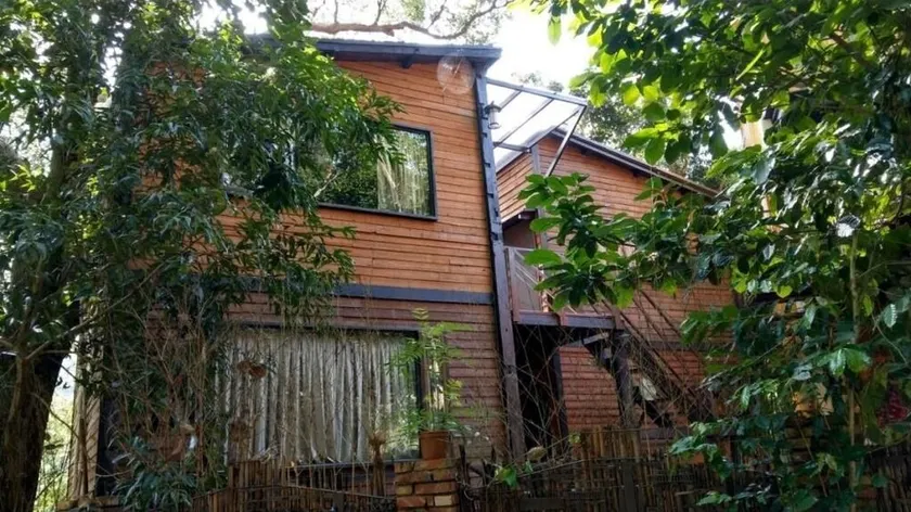 A tree house 4 big rooms - Image 1