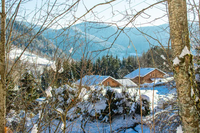 chalet le bouquetin - Image 1