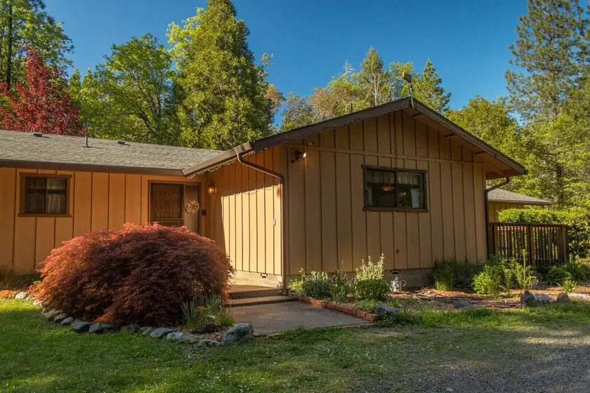 Garner House: Secluded woodland home; spacious & comfortable, in natural setting - Image 1