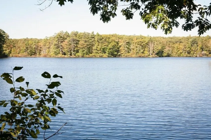Pond side get away - Image 1