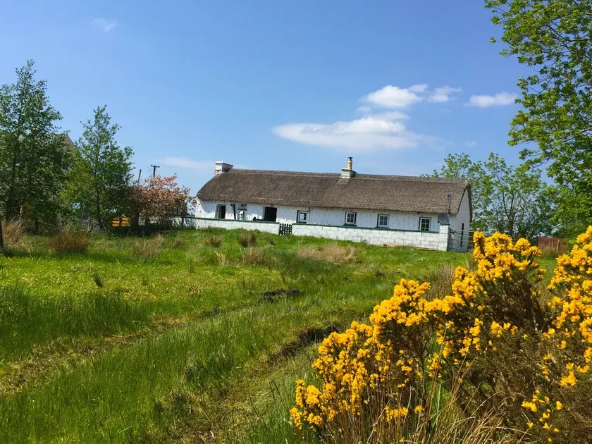Traditional thatched cottage near the sea: log burner, paddock - Image 1