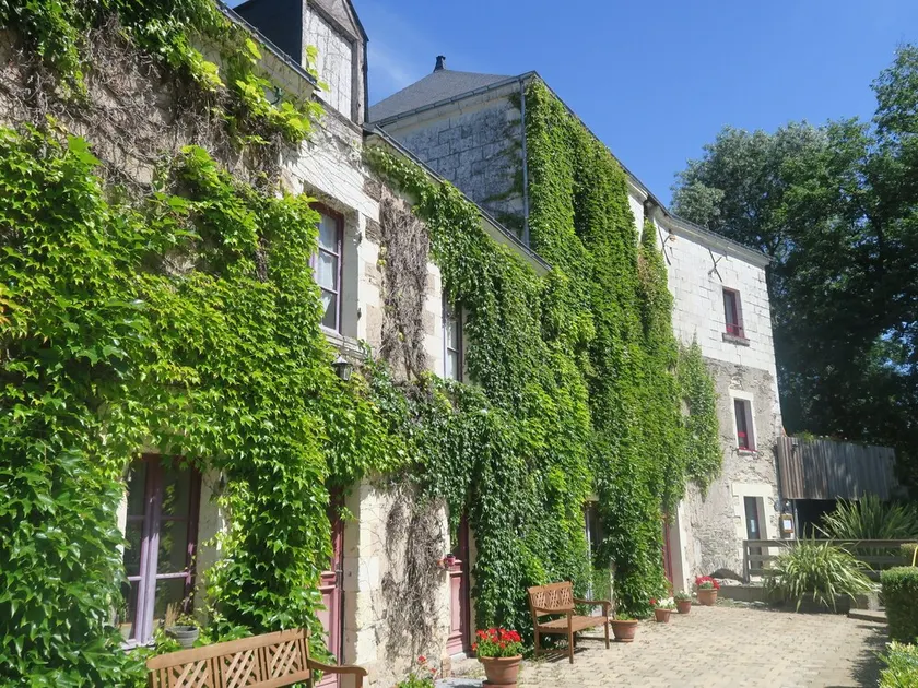 Gite in the heart of the vineyards in Anjou - Image 1
