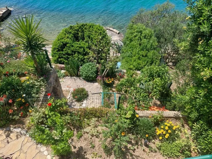 Apartment Garden by the Sea - Image 1