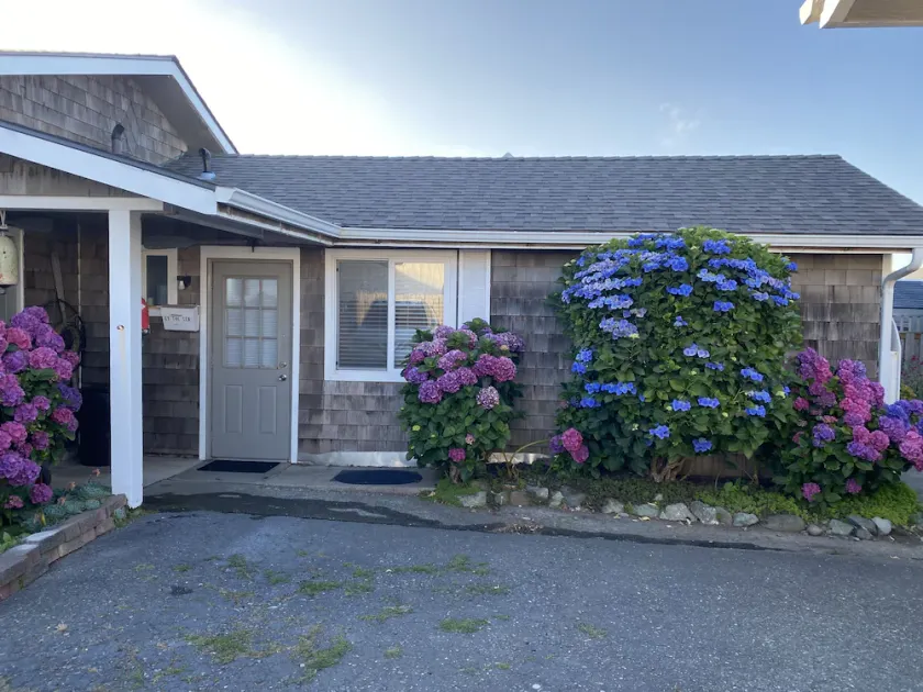 Nice studio right by the ocean - Image 1