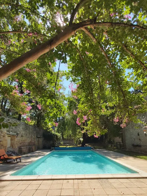 Quiet house in a wooded park with a large swimming pool and lounge area - Image 1