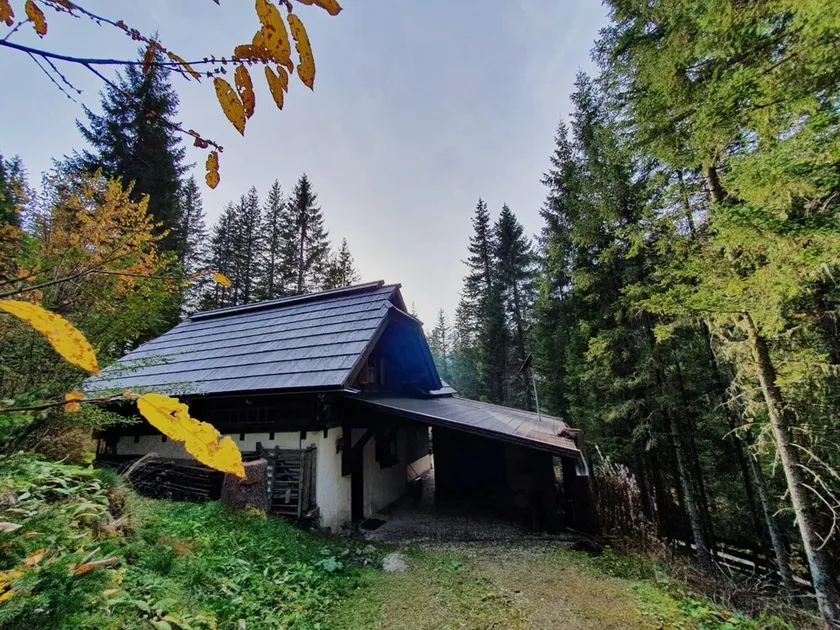 Idyllic Cabin With Sauna - Image 1