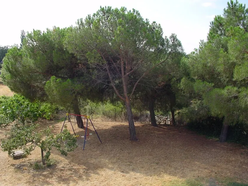 Casa rual completa de 12 plazas max. en la sierra de madrid - Image 1
