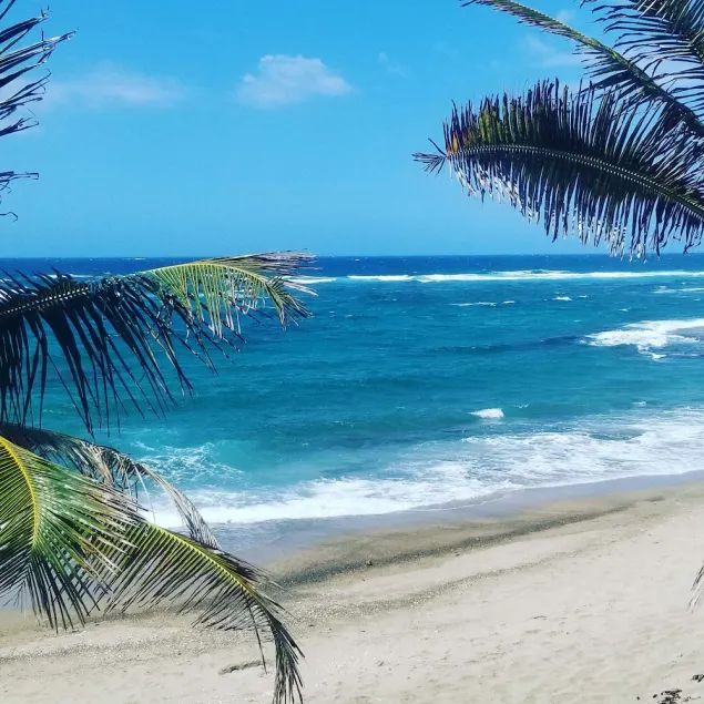Family friendly beachfront guest house suitable for children.  No pets allowed. - Image 1