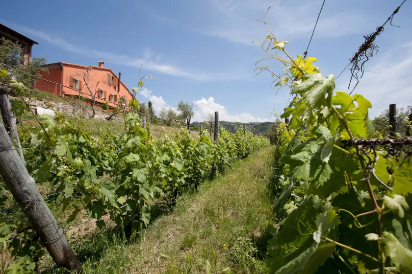 Appartamento bilocale in agriturismo immerso nel verde e a pochi km dal mare - Image 1