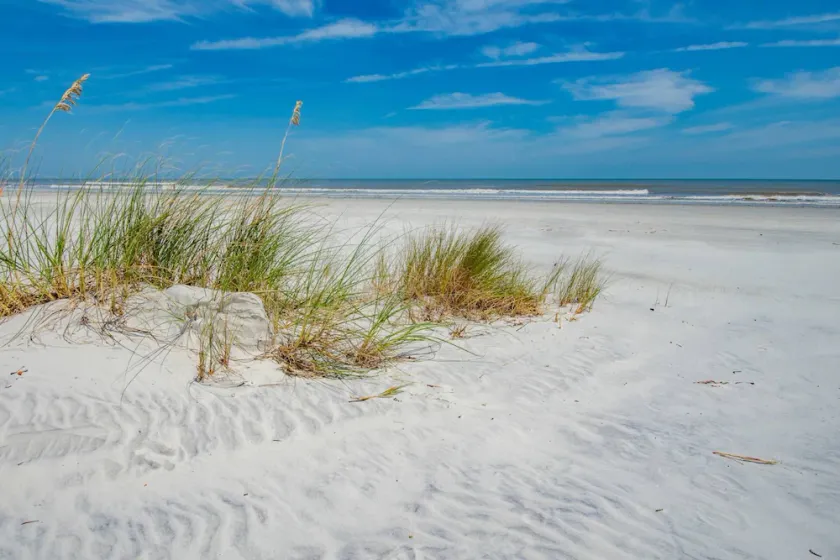 Ocean Reef 305 - Image 1