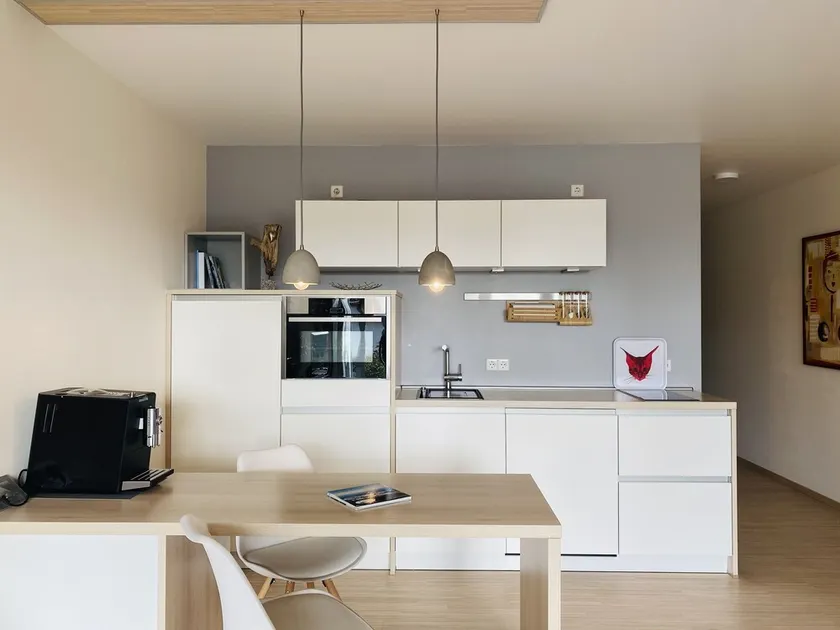 Pet-friendly & wheelchair-accessible—with a terrace where you can relax. - Image 1