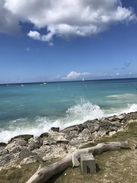 Spring Bookings! Anidele Bliss - 1 BR near Beach/Pool ⭐️ In walkable Holetown. - Image 1