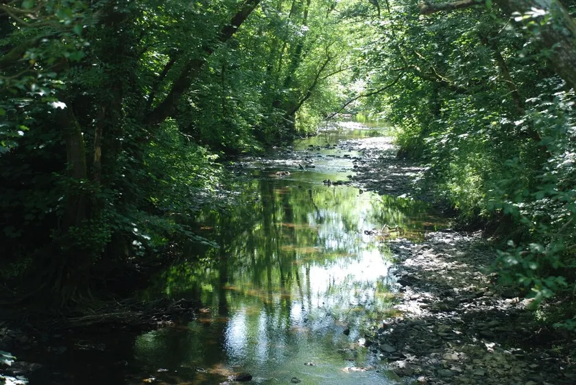 Wildlife haven with river - Image 1