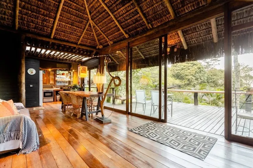 Rain Forest Paradise - Image 1