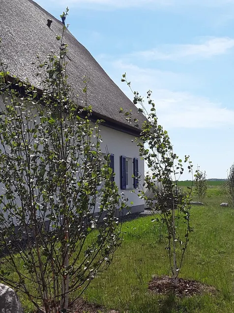 La Villa Bleue a Rügen, nel mezzo della natura e sulla baia - Image 1