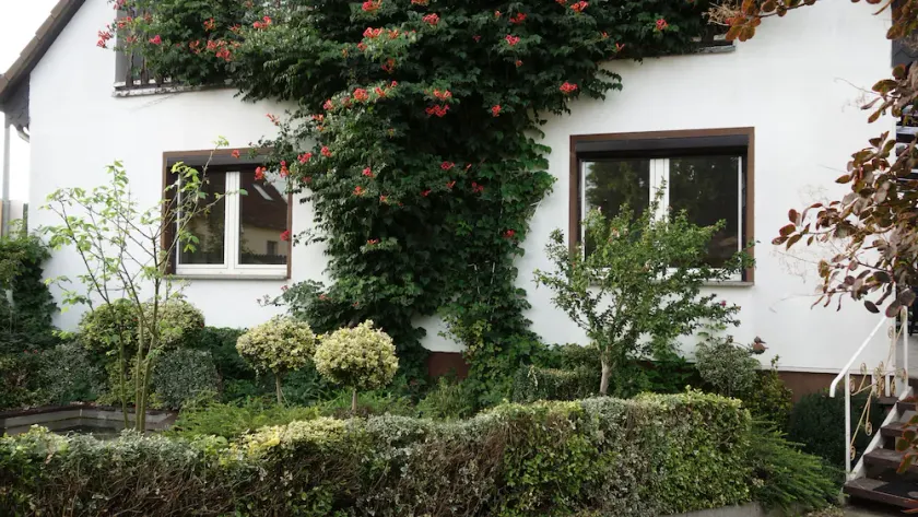 Ampio appartamento nel bellissimo Havelland, alla periferia di Berlino-Spandau - Image 1