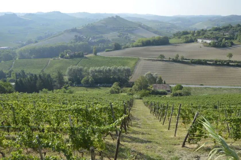 PANORAMIC VIEW, RELAX, Bed & Breakfast in Alba - Image 1