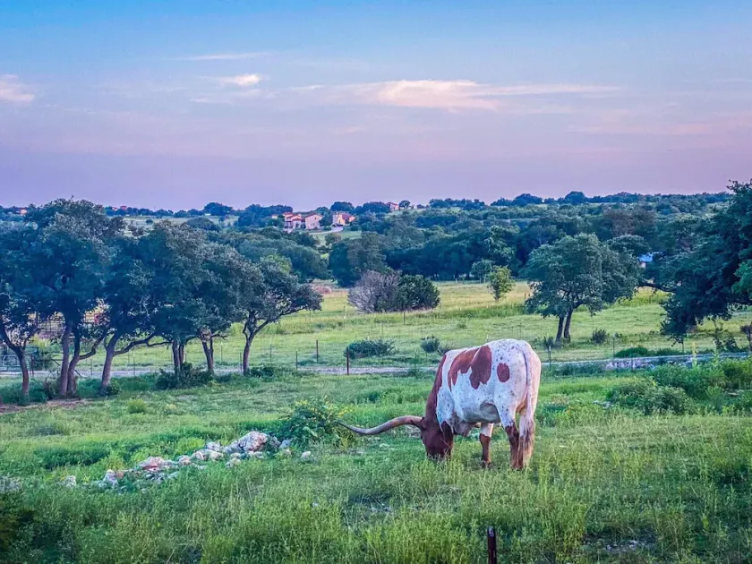 Smukke ranch hjem \"Country Living\" - Image 1