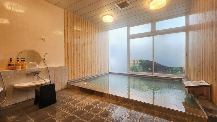 Green Park Hotel - Image 1