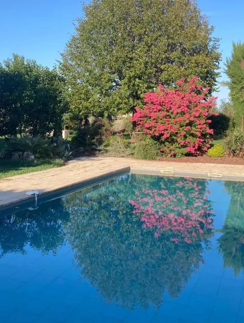 Cocooning air-conditioned gîte in a privileged, peaceful setting with large swimming pool - Image 1