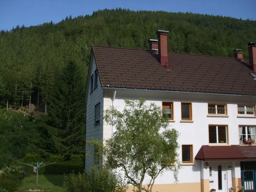 Ferienwohnung/app. für 5 Gäste mit 50m² in Todtnau - Image 1