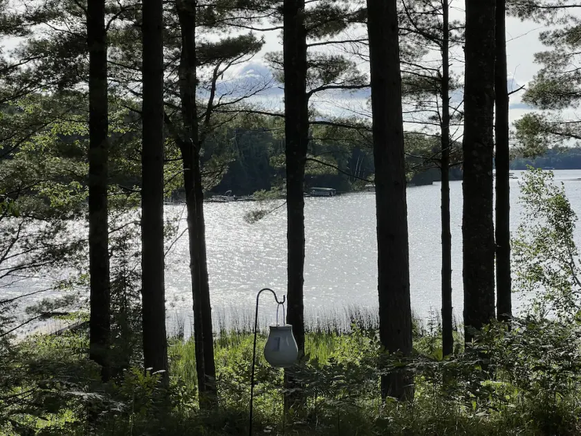 Beautiful Two Bedroom cabin on Plum Lake - Image 1