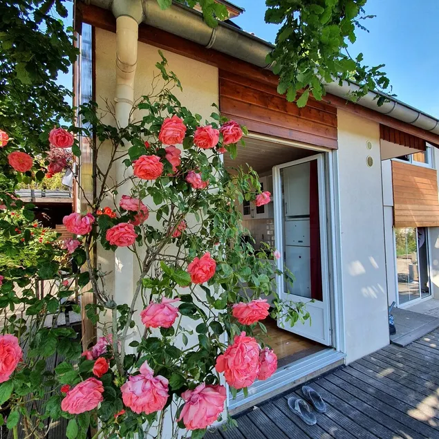 On your terrace at the foot of an oak tree, feel the Alsace's vibes ! - Image 1