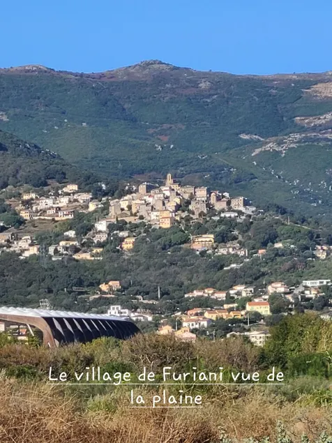 In casa di LOULOU, 700 m from the beach, all amenities nearby, - Image 1