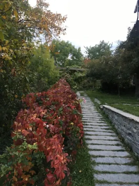 THE NEST, THE COMBA of Aosta - Image 1