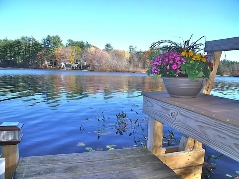 Lakeside Wooded Retreat på Kingston Lake - Image 1