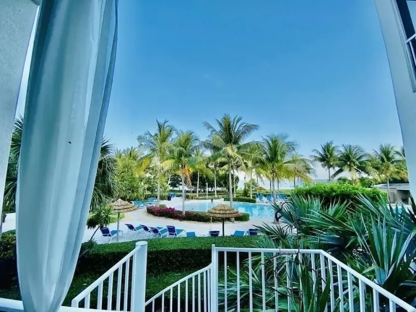 PARADISE FOUND! - Image 1