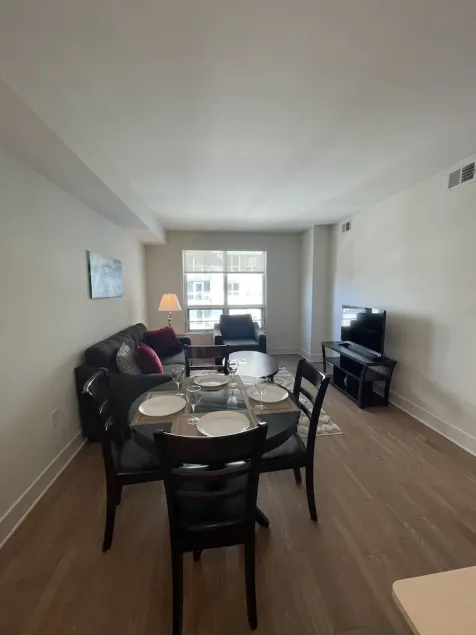 Luxurious Fully Furnished Move-In-Ready in Luxurious Apartment - Image 1