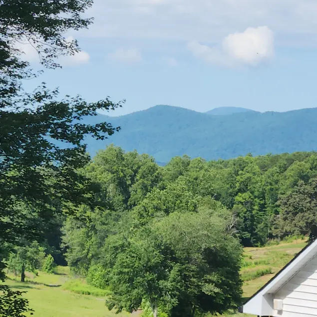 Mountain View Bungalow Near Breweries, Trails, Pool and Waterfalls - Image 1