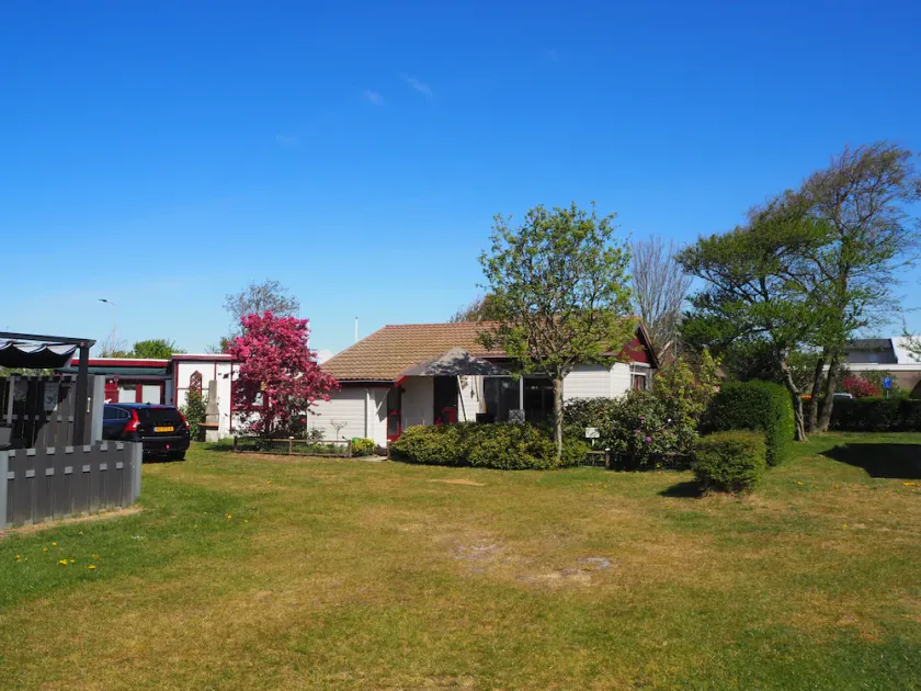 Bungalow confortable et ensoleillé à la plage, les dunes et les champs pleins de fleurs - Image 1