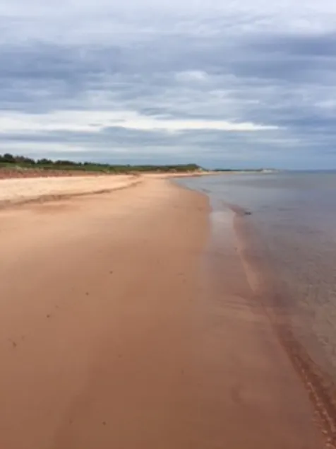 Pequeña cabaña perfecta en la costa norte de PEI - Image 1