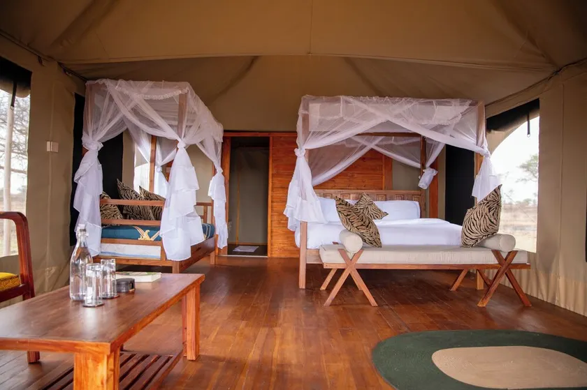 Pumba Luxury Camps - Image 1