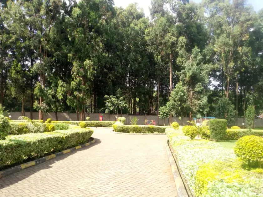 Forest Breeze Gardens - Image 1