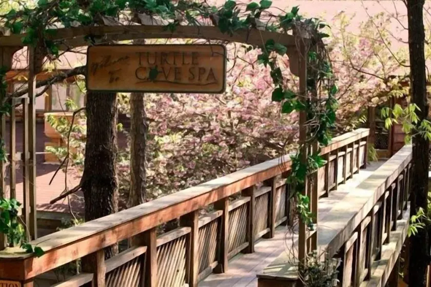 Forest view 2 bed bath condo on Lake Ouachita - Image 1