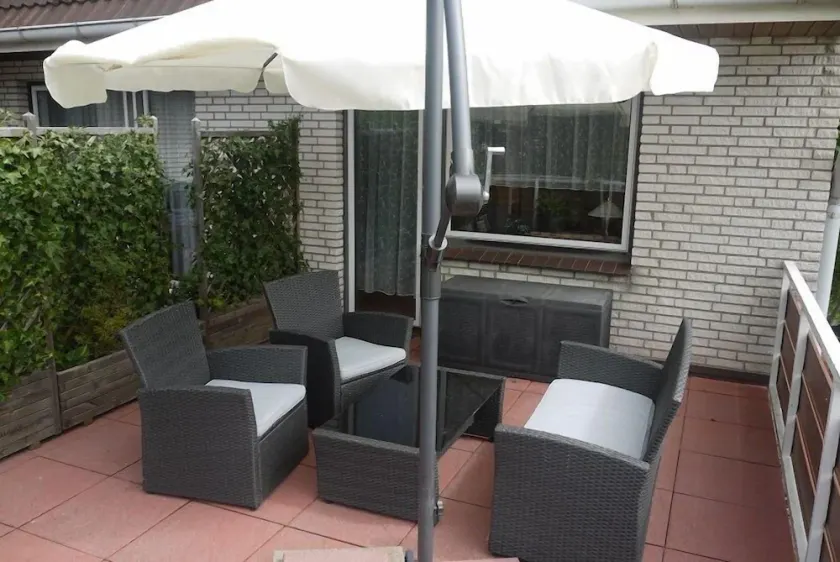 Stranddistel - Image 1
