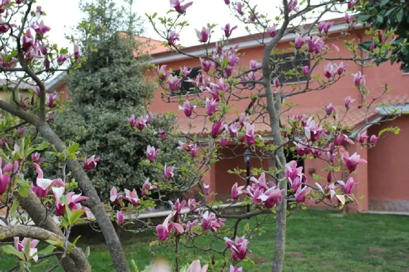 Il sottosopra - Image 1