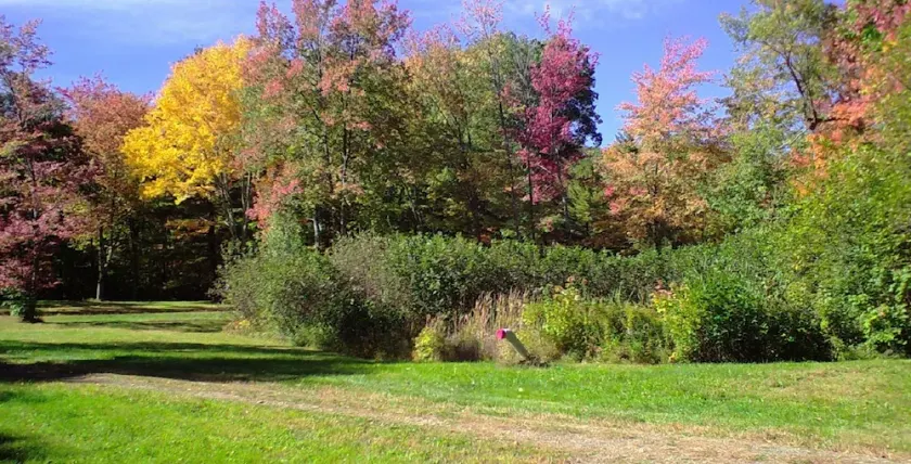 Weekend Weddings on our Farm. - Image 1